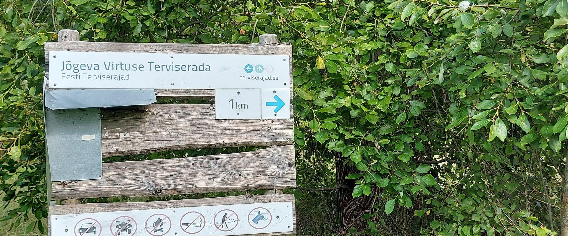Virtuse terviserada