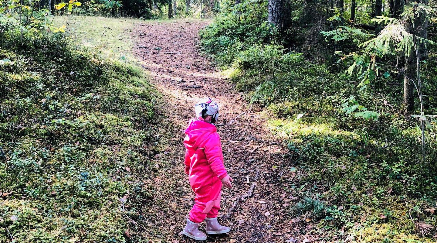 Priimetsa terviserajal väike matkaja