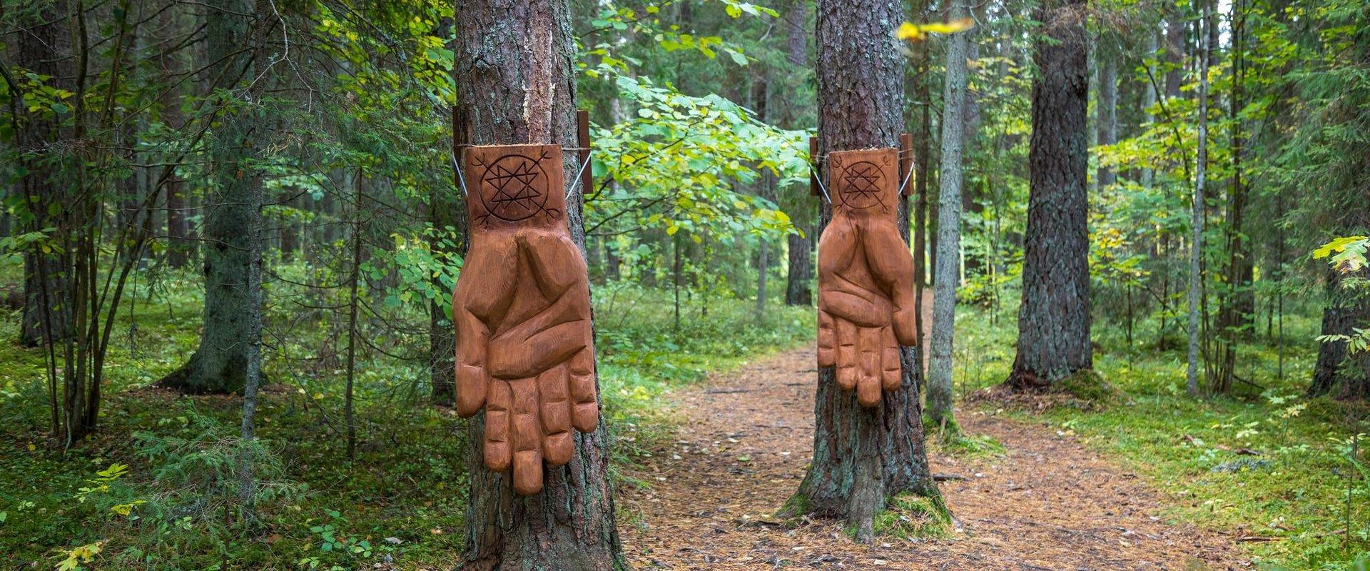 Kleiner Kraftweg – „Hände der Kraft“ – Ort die Kraft des Waldes zu spüren.