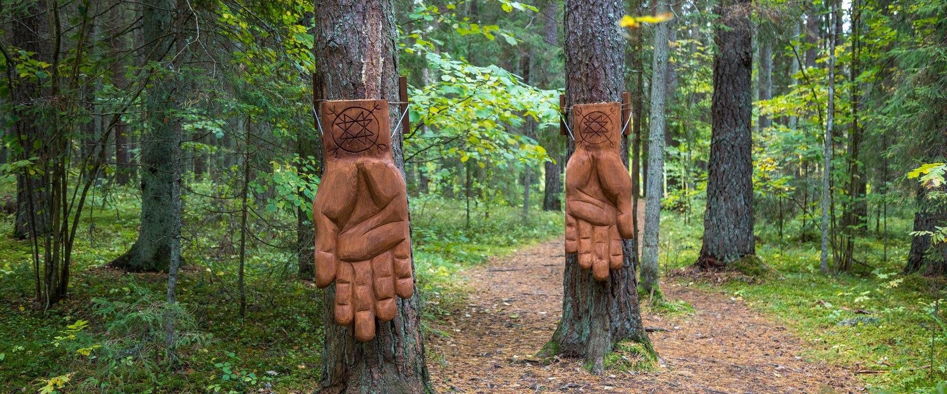 Nature Energy Trail, 'Hands of Energy' - a place to feel the power of the forest