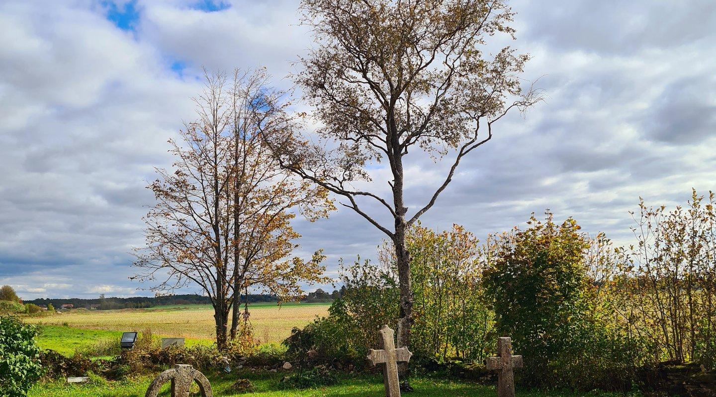 Giidiga tuur "Jõelähtme avastamata rajad"