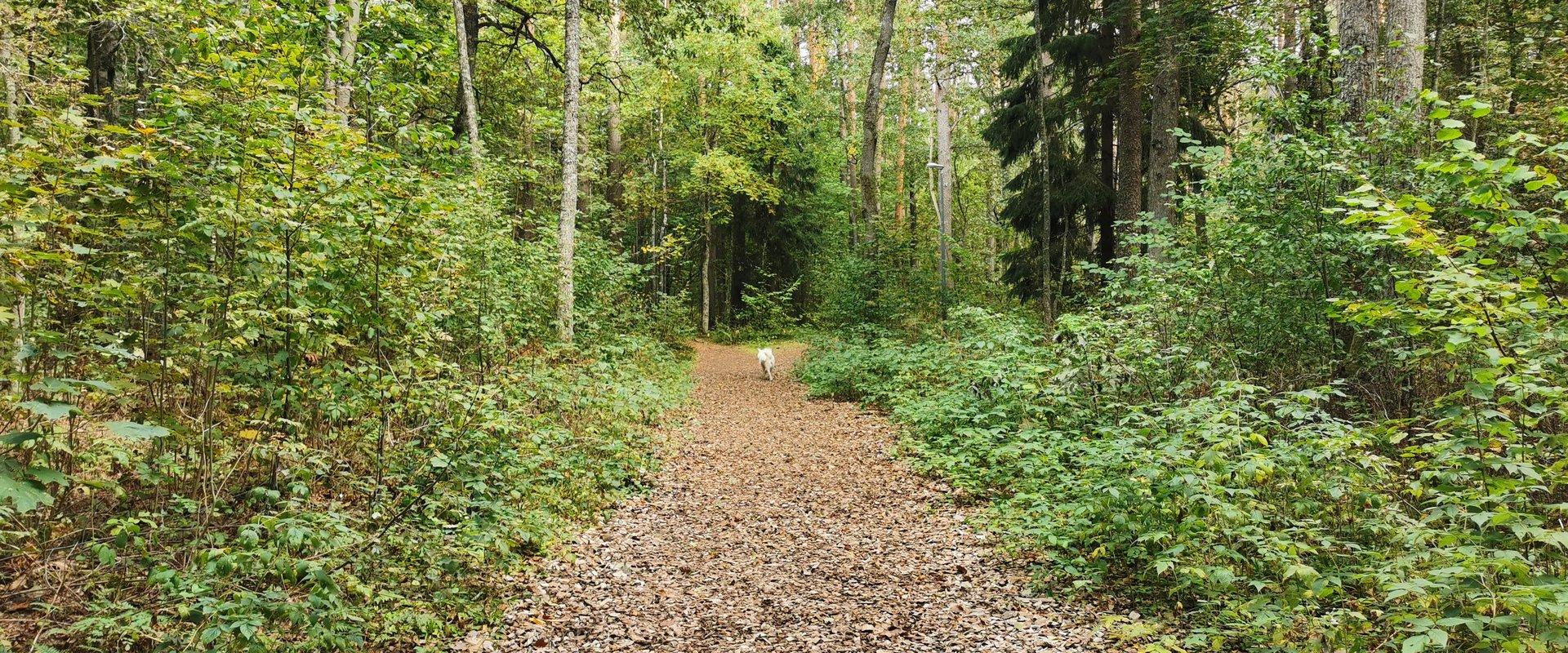 Valgeranna health trail