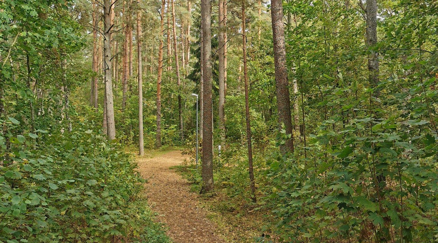 Valgeranna health trail