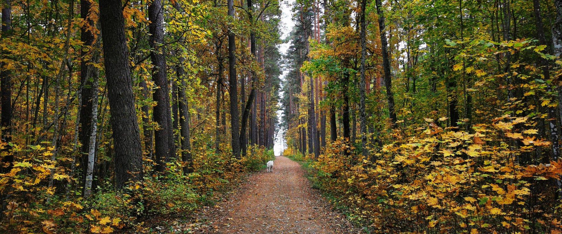 Valgeranna terviserada - Visit Pärnu