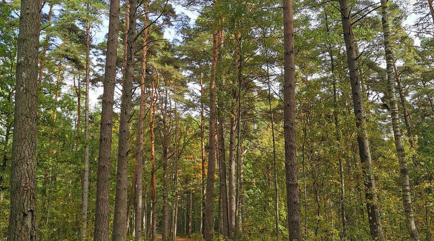 Valgeranna health trail