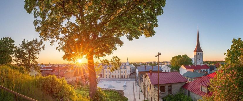 Porganditrepp ja vaateplatvorm