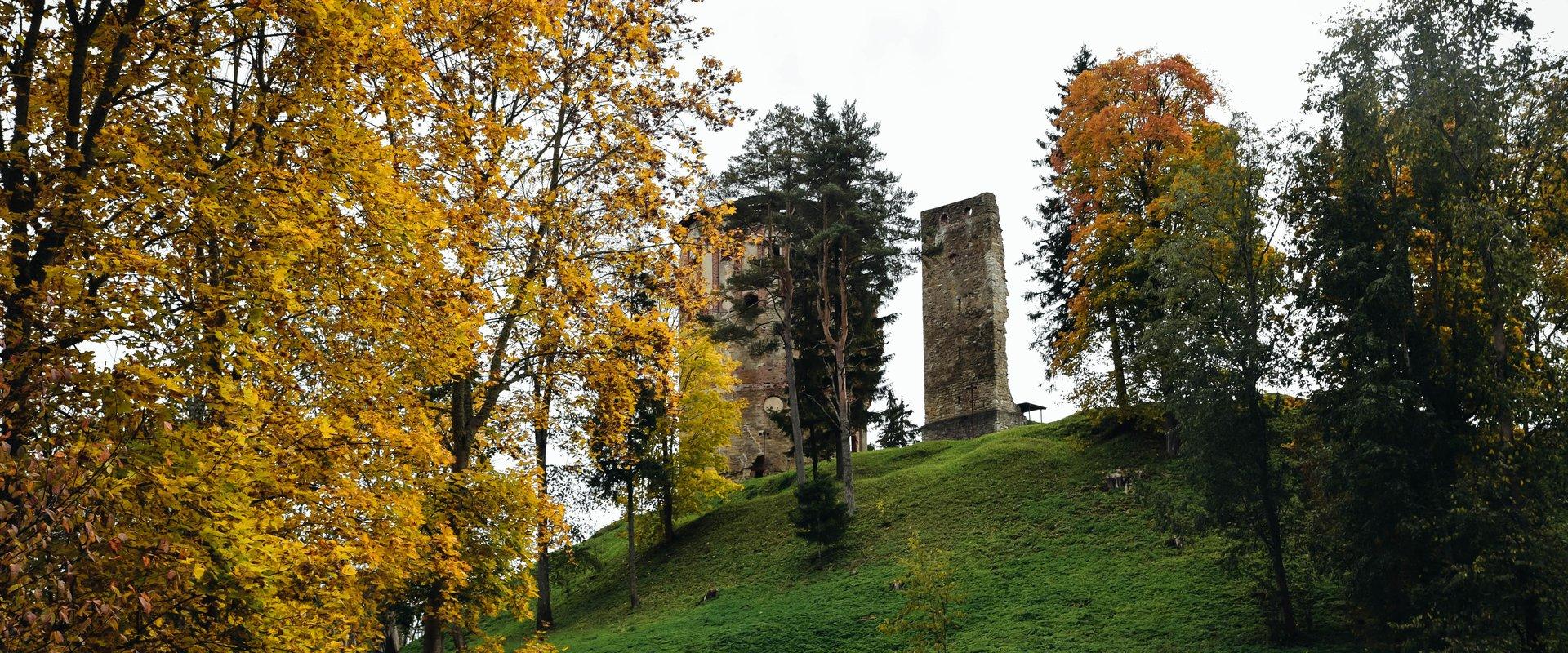 Vana-Vastseliina mõisapark