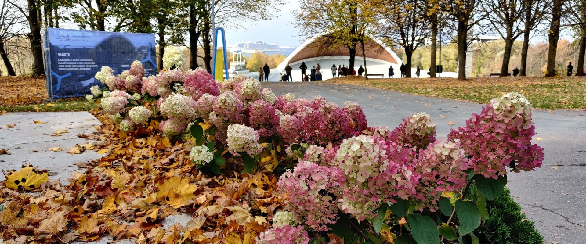 Tallinn Song Festival Grounds Park