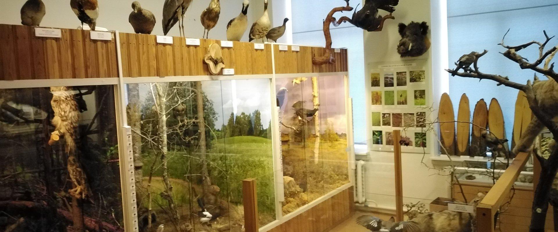 Iisakus on poluvernikute kultuurirajad- mõtestatud puhkus õp