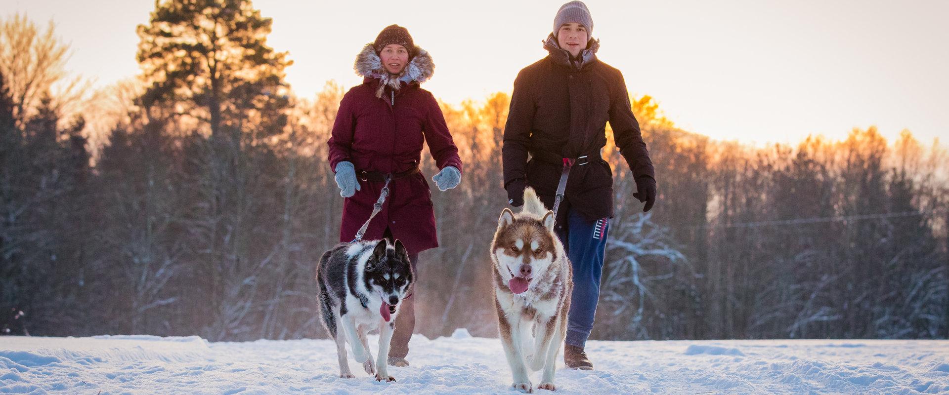 Hellerkantri Huskypark - kelgukoerte talu Raplamaal