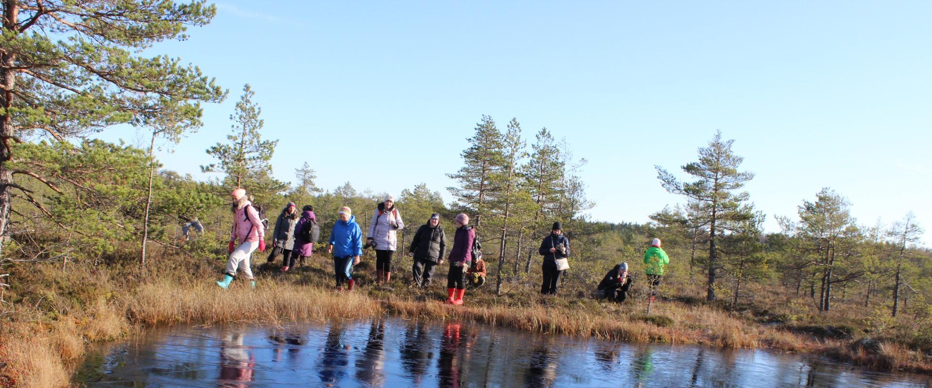 Hikes at Linnumäe Nature Farm