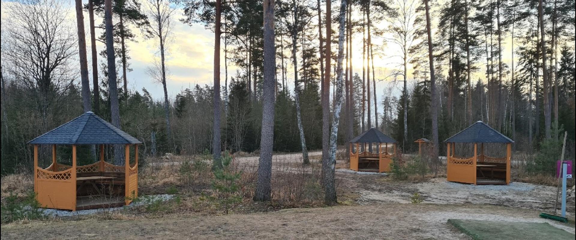 Märjamaa Järta terviserada