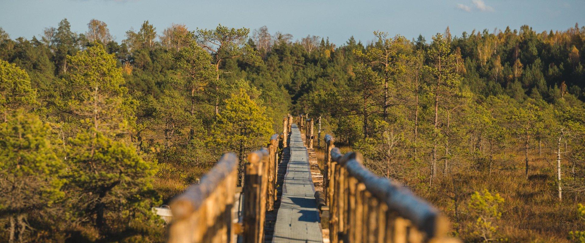 Männikjärve matkarada