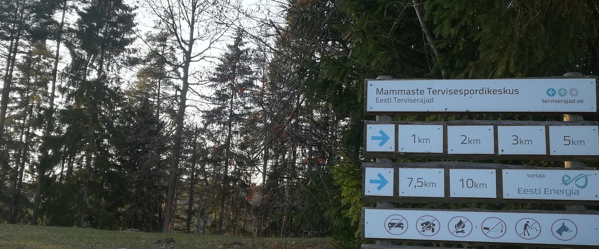 Mammaste Tervisespordikeskuse terviserada