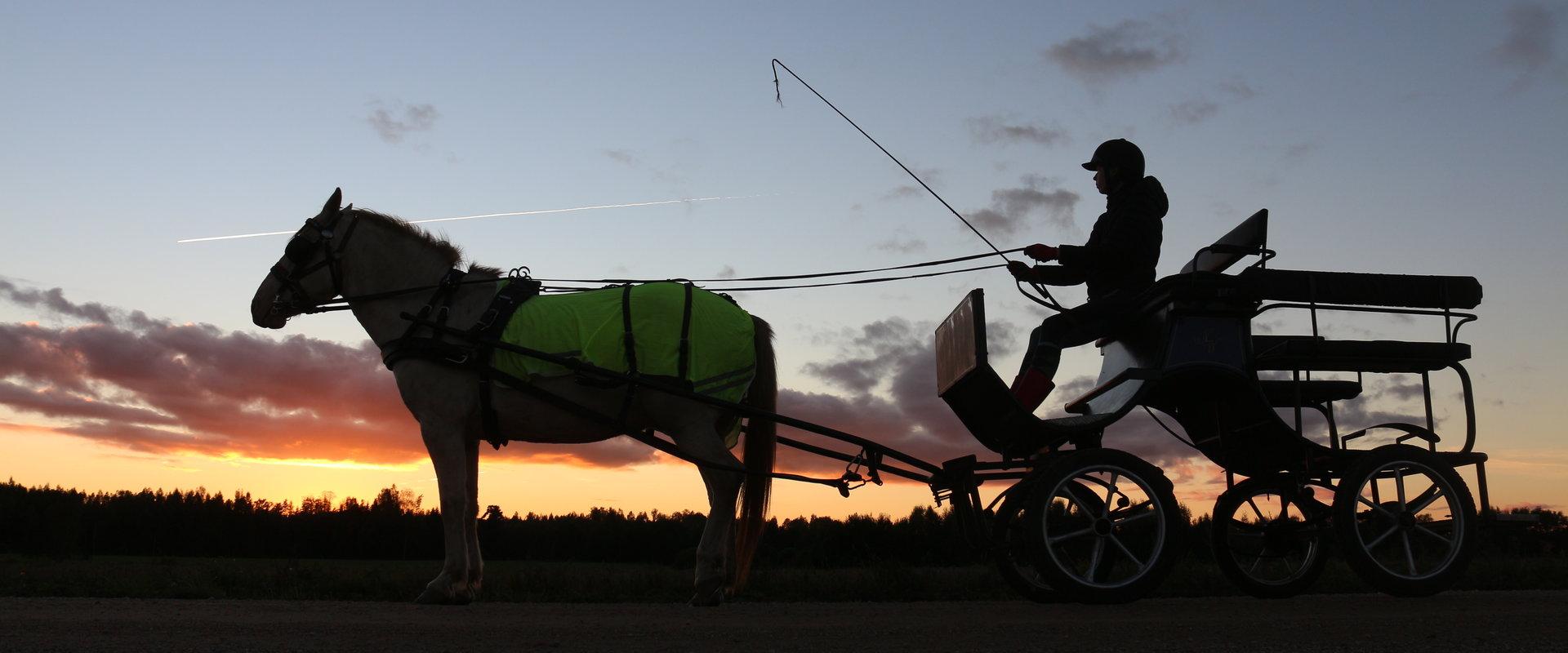 Mustamõisa carriage and sleigh rides