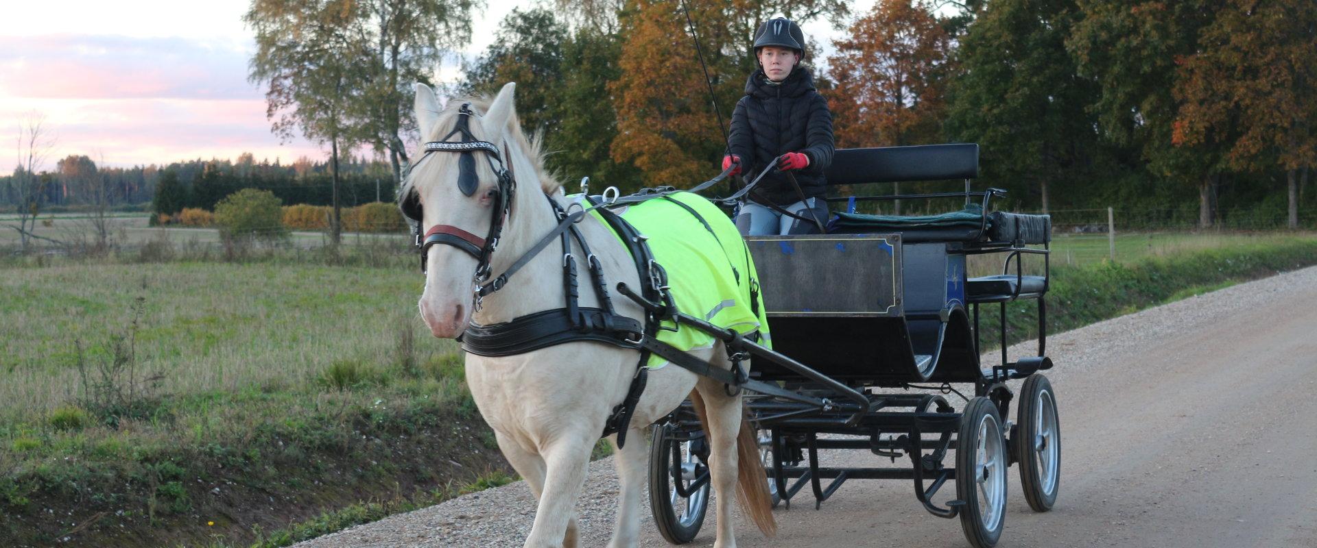 Mustamõisa carriage and sleigh rides