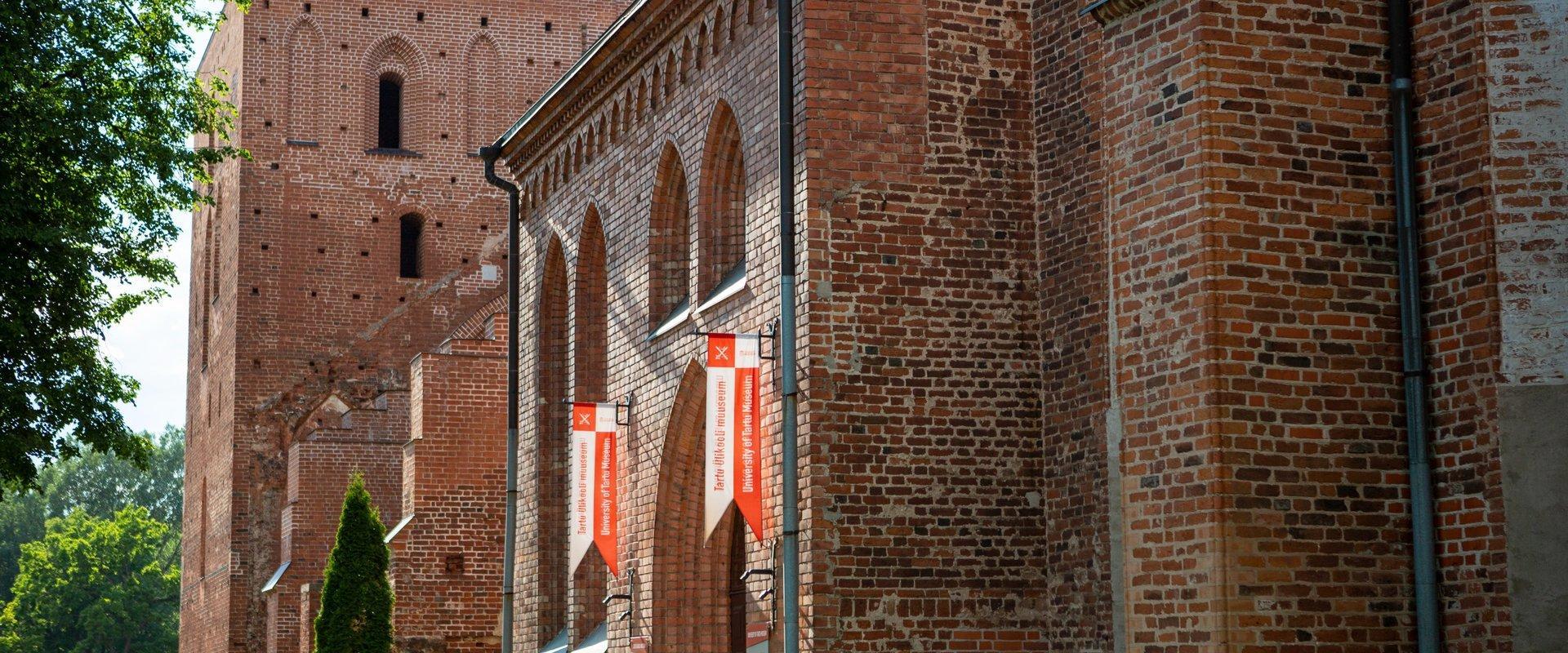 Domkirche zu Tartu, Eingang ins Museum der Universität Tartu