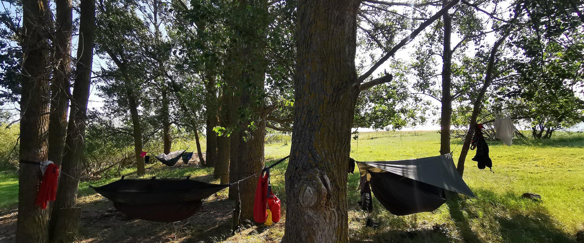 Spending the night in a tree tent in the beautiful places of Pärnu County