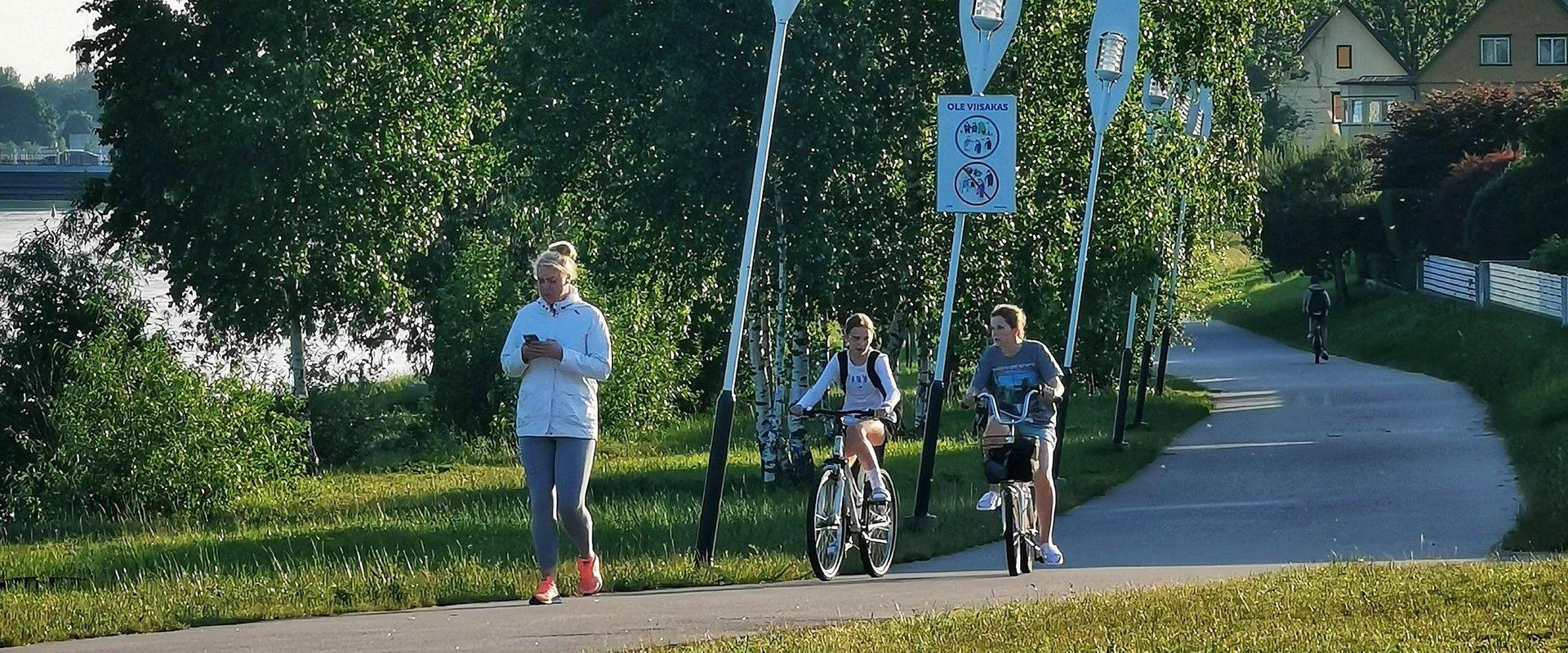 Gesundheitspfad am rechten Ufer des Flusses Pärnu, der Jaanson-Pfad