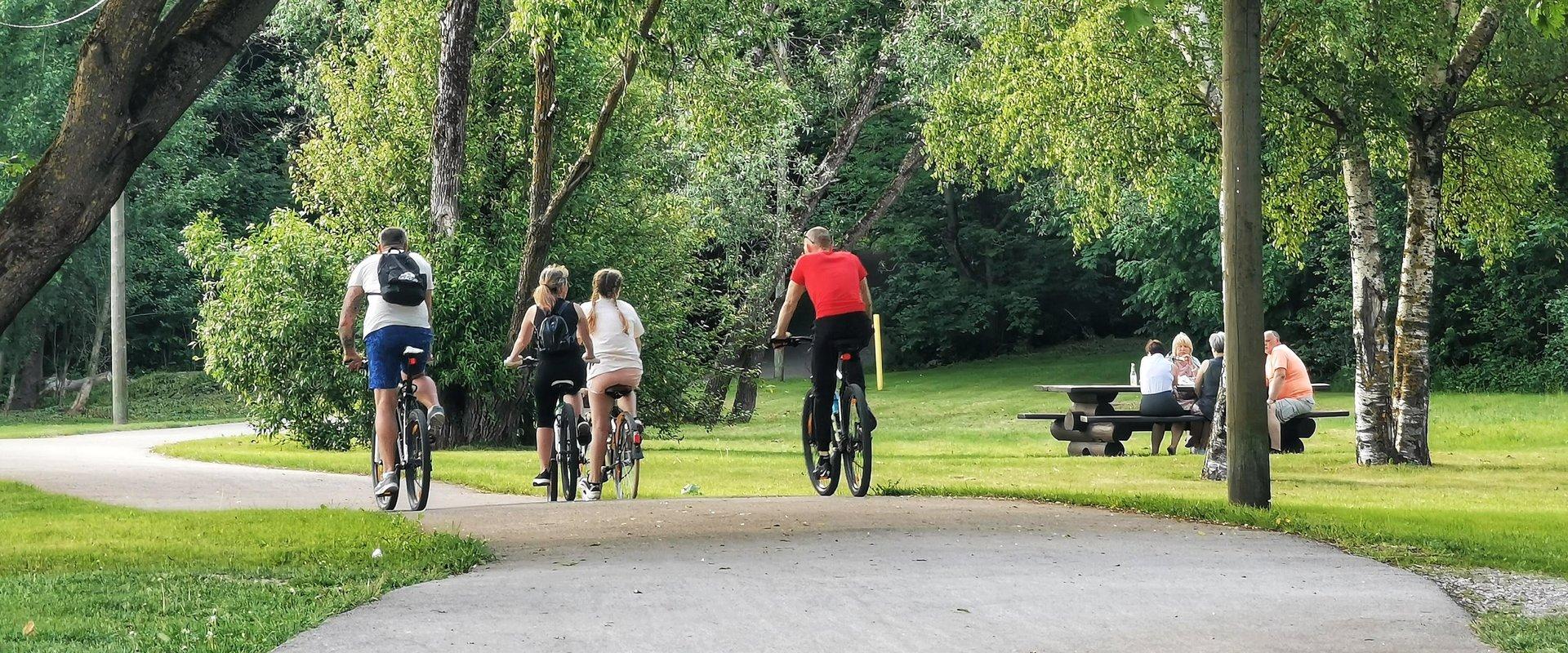 Gesundheitspfad am rechten Ufer des Flusses Pärnu, der Jaanson-Pfad