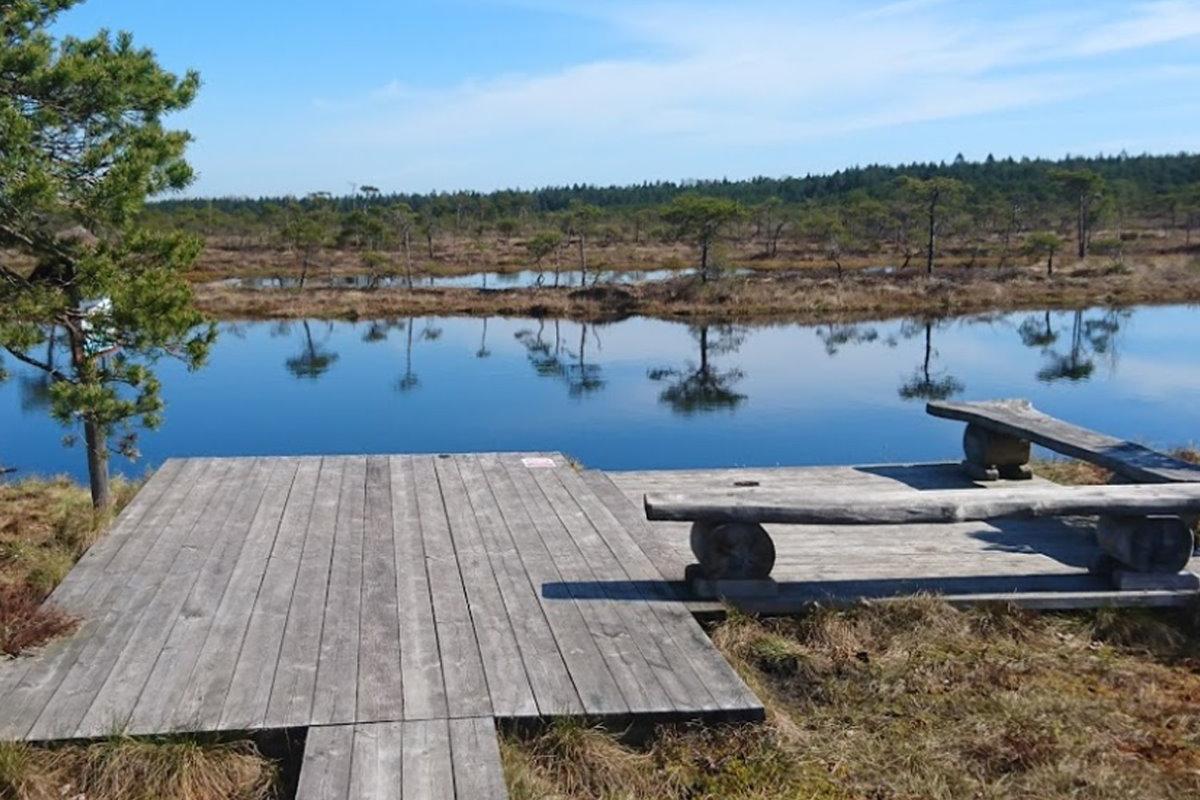 Hüpassaare-bog-Vanaõue-visitestonia