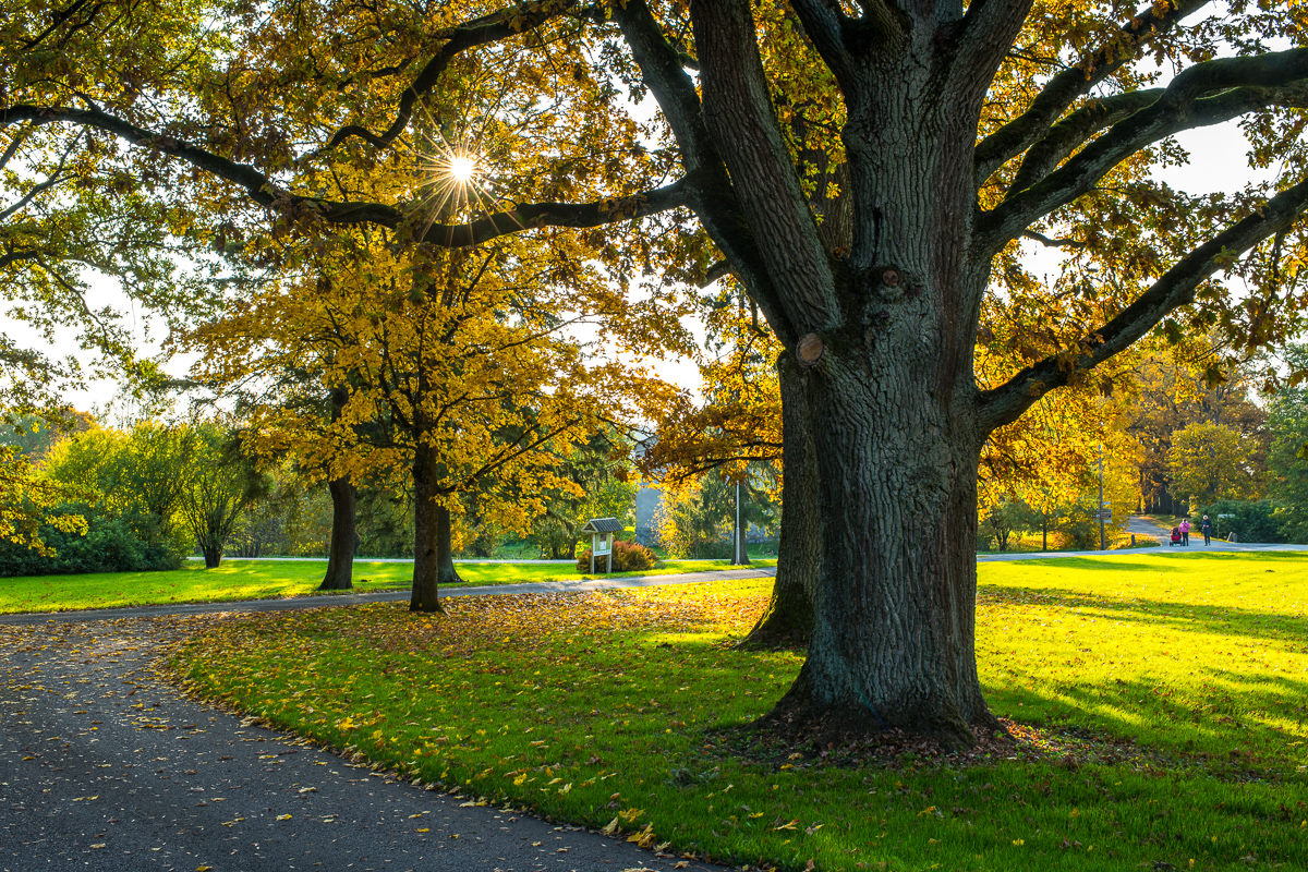 Hummuli mõisapark