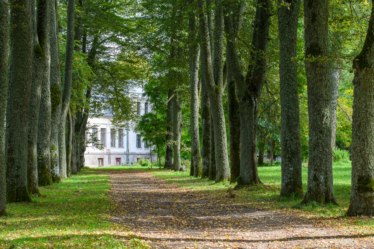 Kaagjärve Manor and the Manor Park