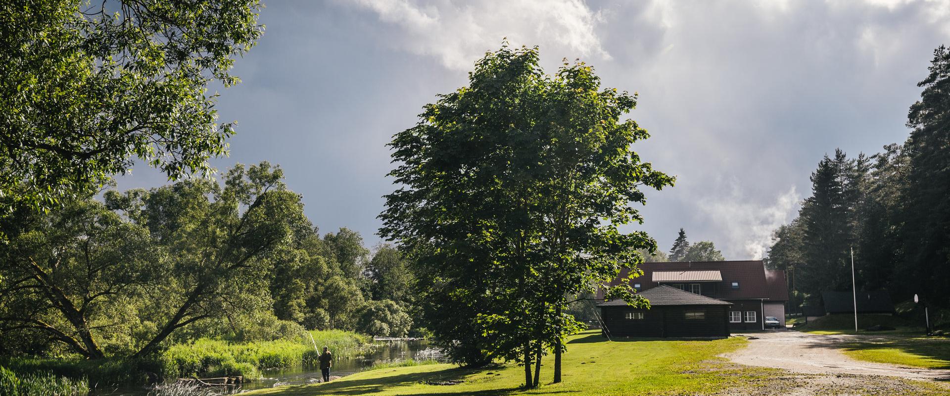 Vanaõue-adventurepark-visitestonia