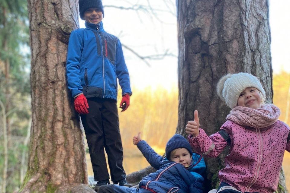 Vanaõue Puhkekeskuse madalseiklusrada-visitestonia