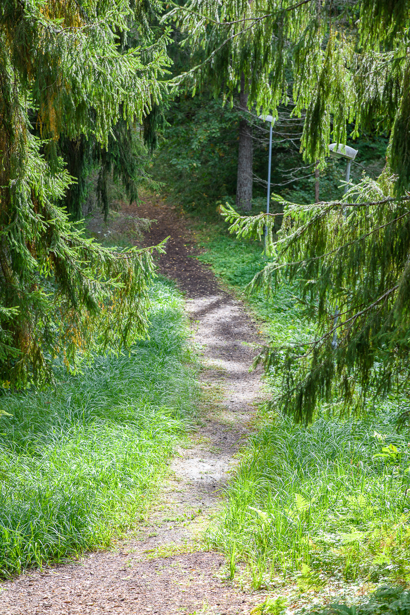 Gesundheitspfade von Tõrva