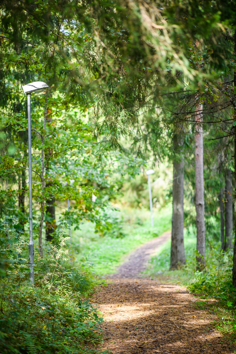 Gesundheitspfade von Tõrva