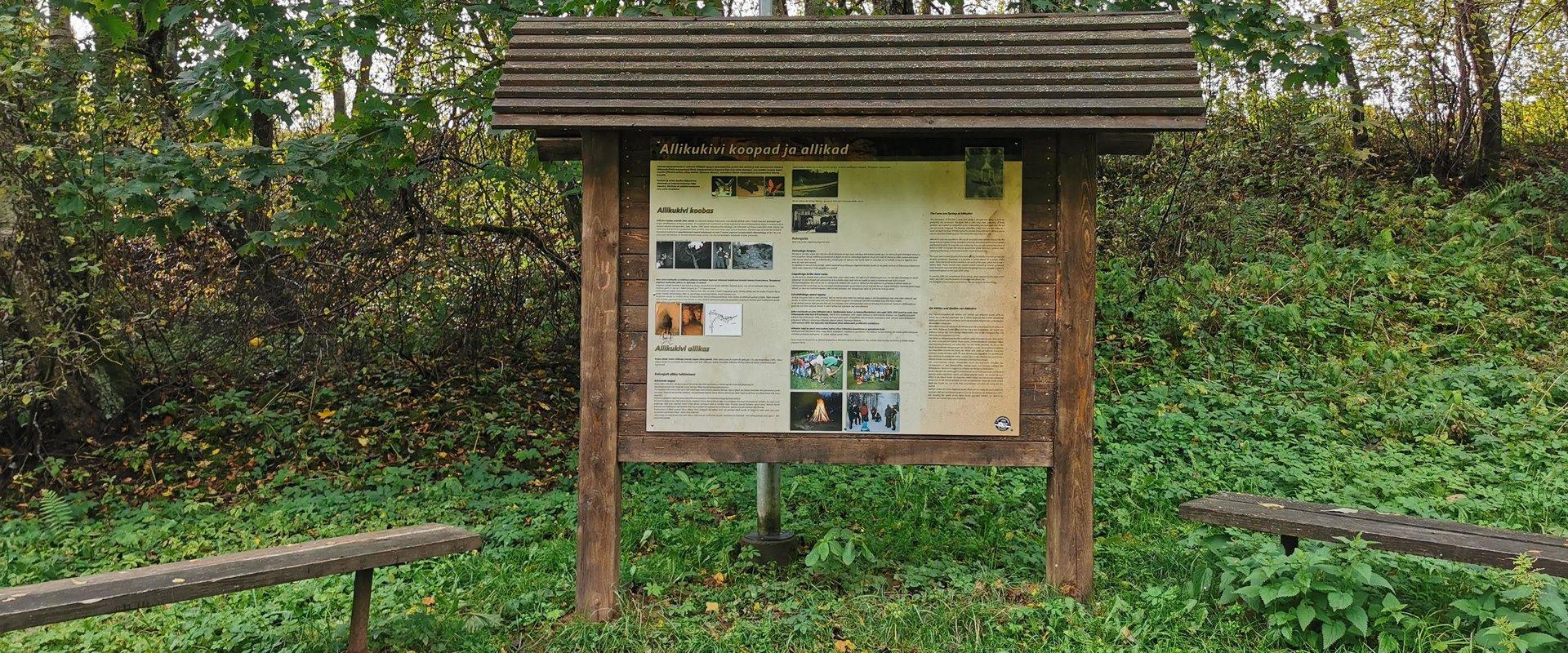 Allikukivi koopad
