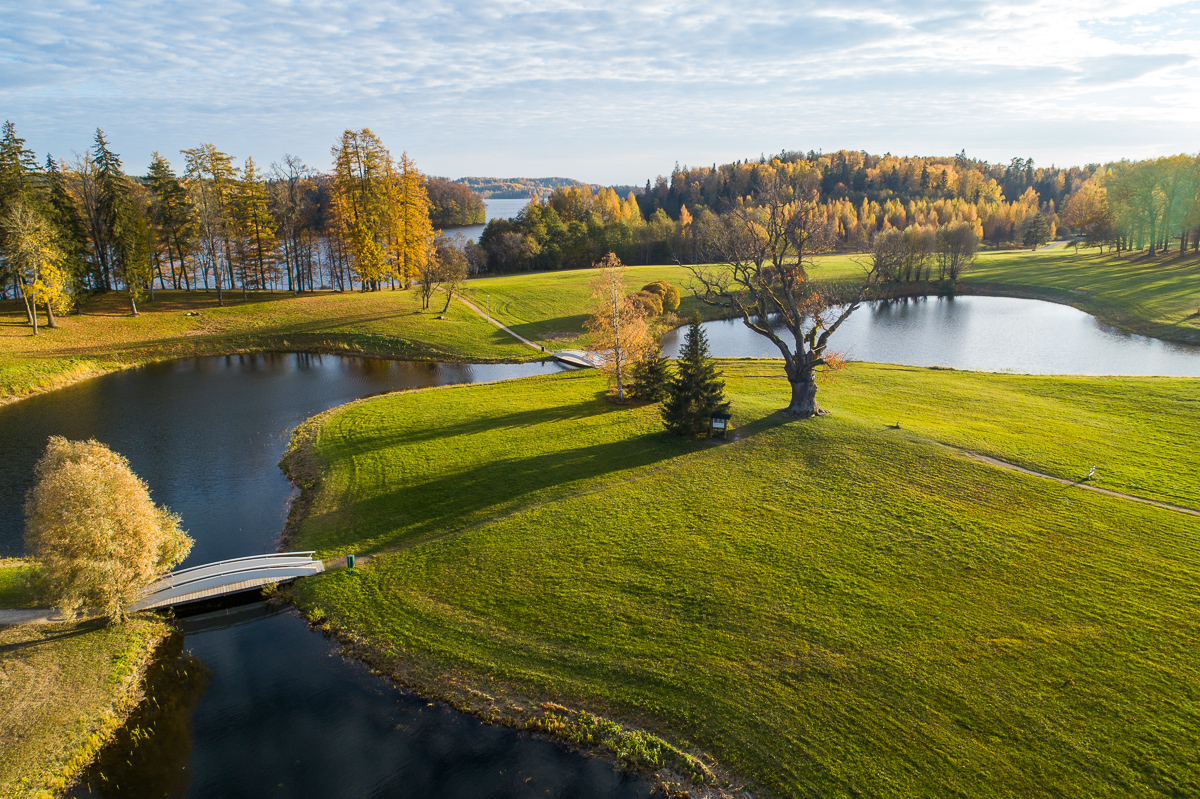 Pühajärve Kriegseiche