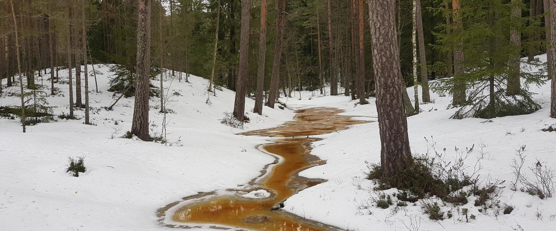 Uljaste matkarada