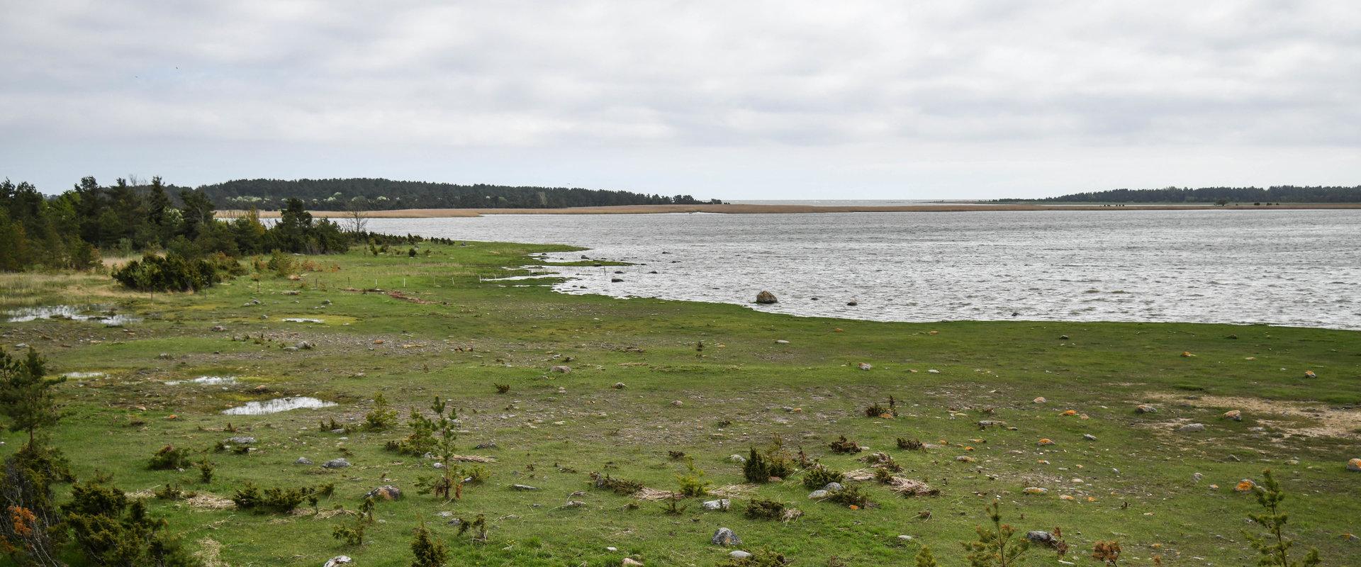 Sõmeri Peninsula and lighthouse