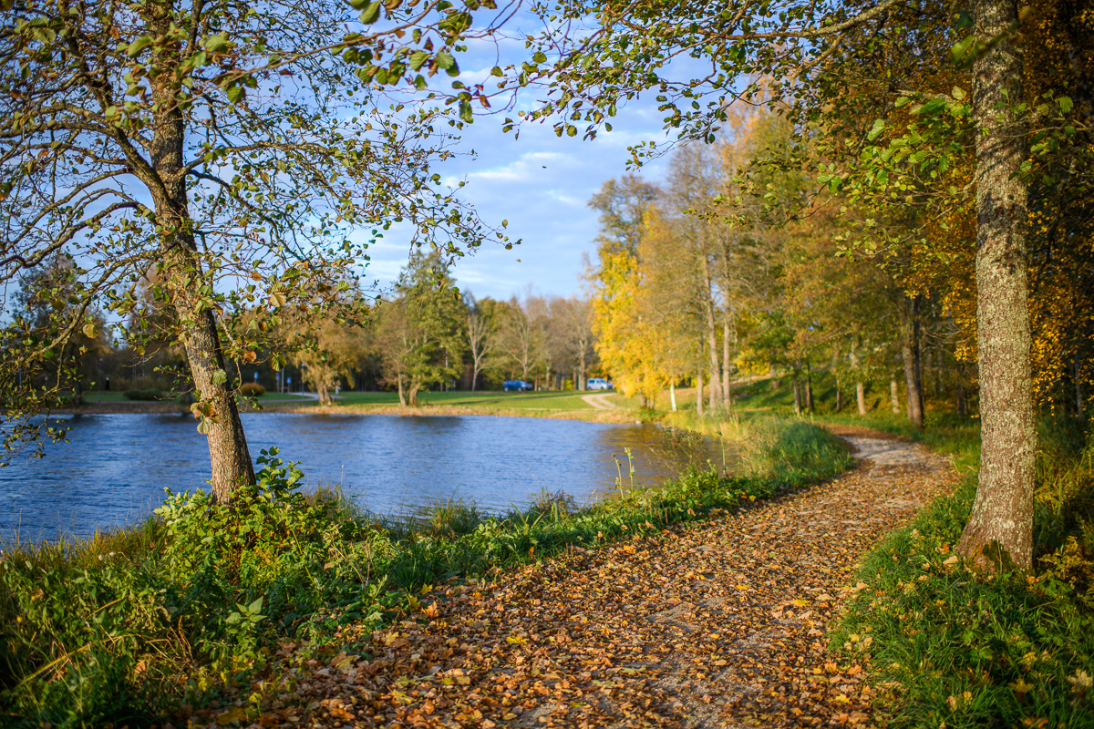 The hiking trail that encircles Lake Pühajärv starts near the centre of Otepää Nature Park. The 12 km trail takes you on a voyage of discovery around 