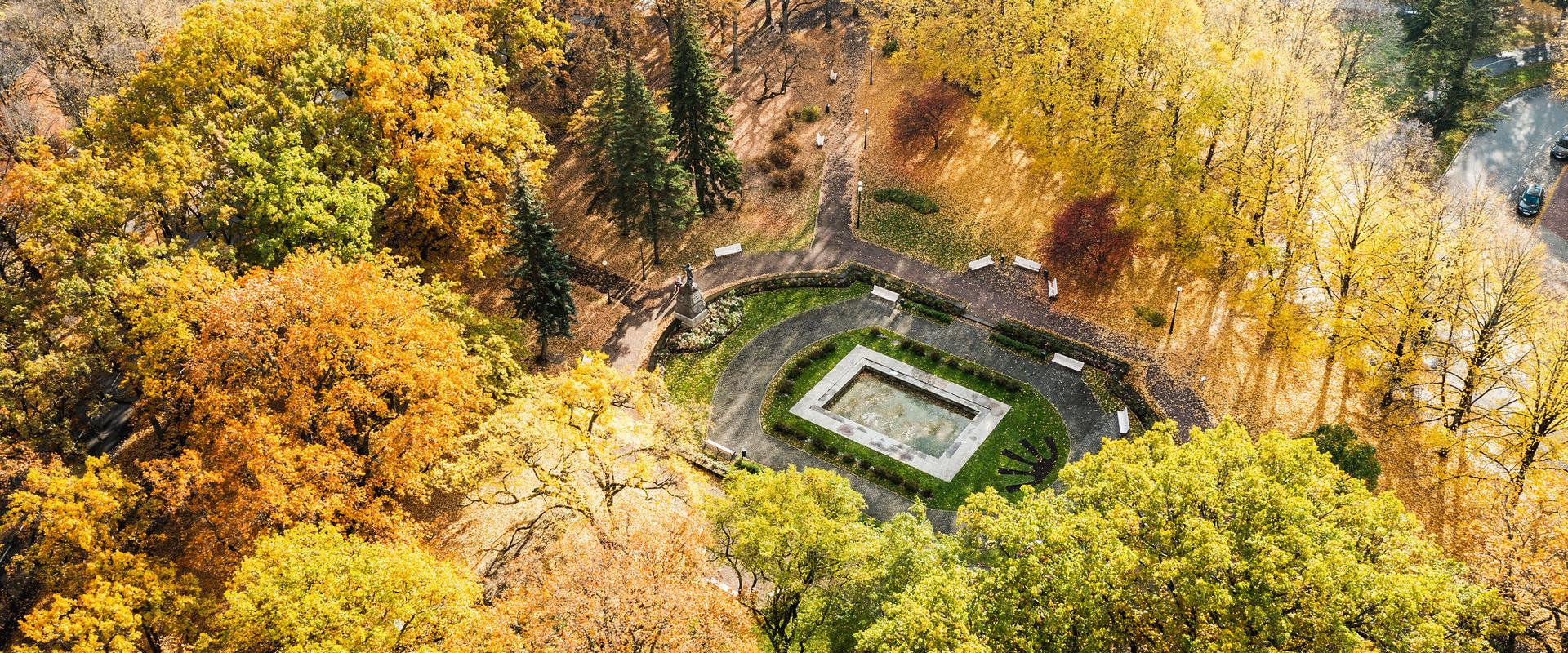 Koidula park sügisvärvides