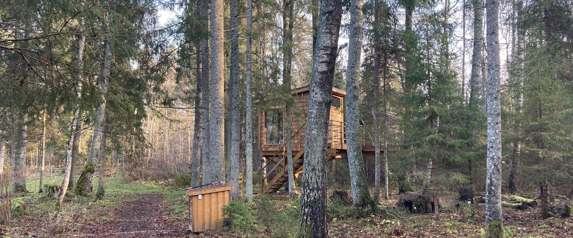 Tiigrisilma Treehouse