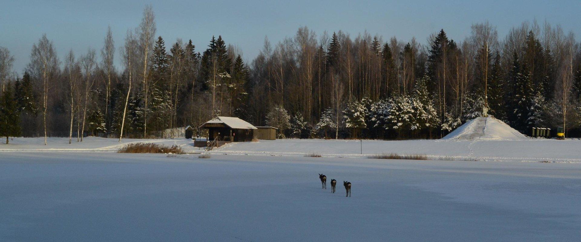 Savusauna Toosikannun lomakeskuksessa