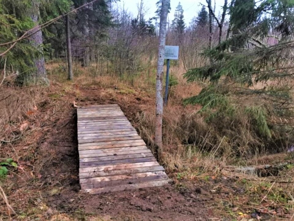 Tsõõrikmäe meteoriidikraater