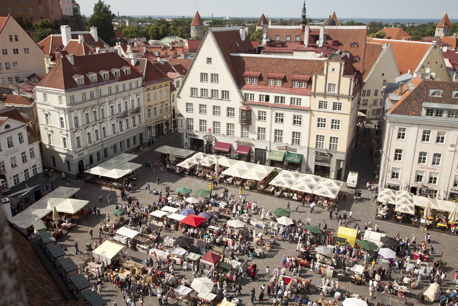 A View of Tallinn's Town Hall Square