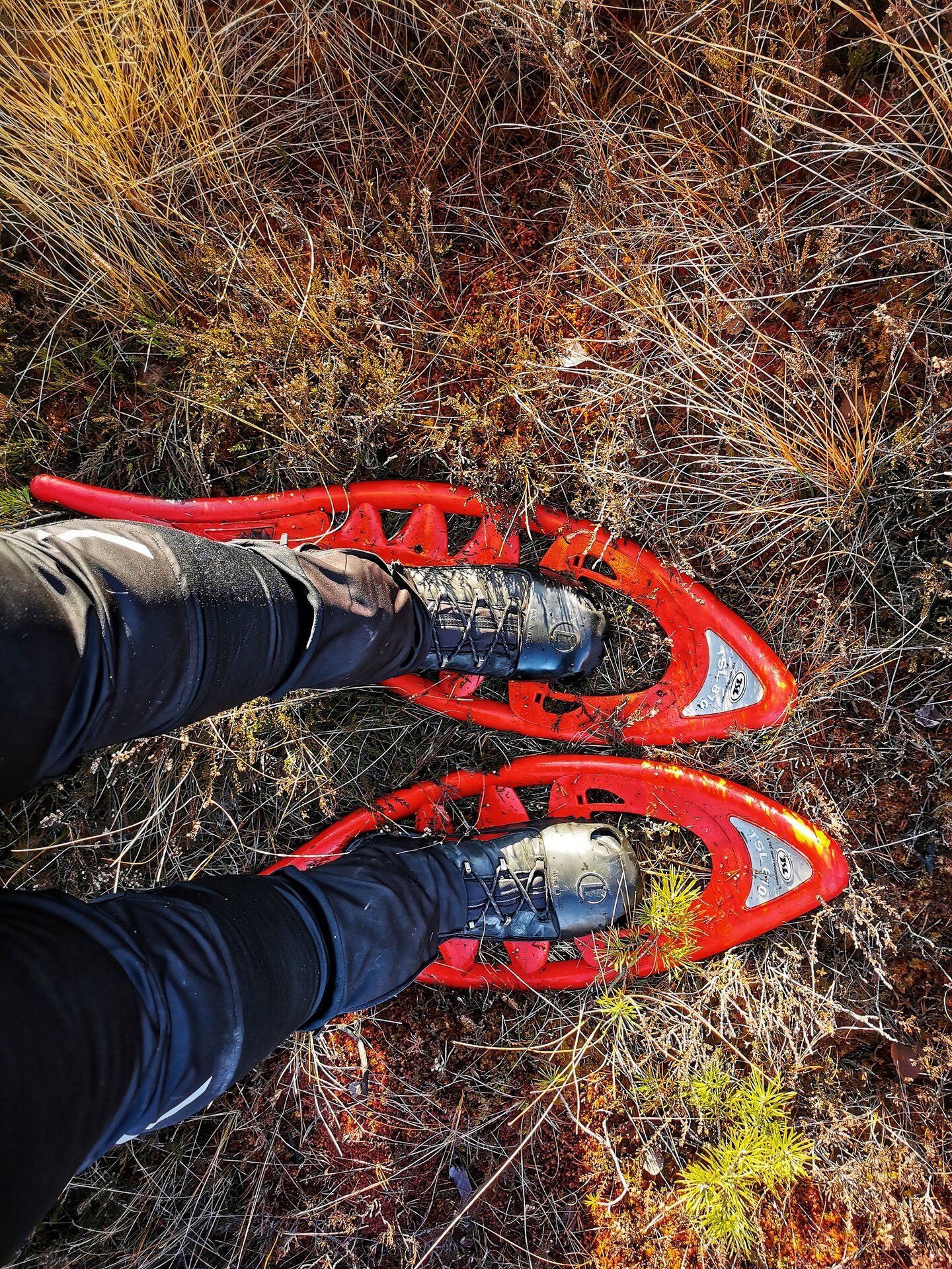 Seikle Vabaks (Freedom of Adventure) – snowshoe hike in Soomaa National Park