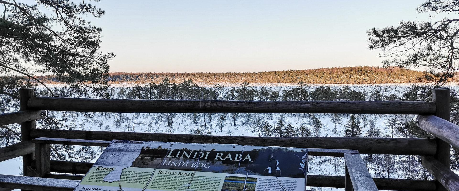 Seikle Vabaks räätsamatk Lindi rabas