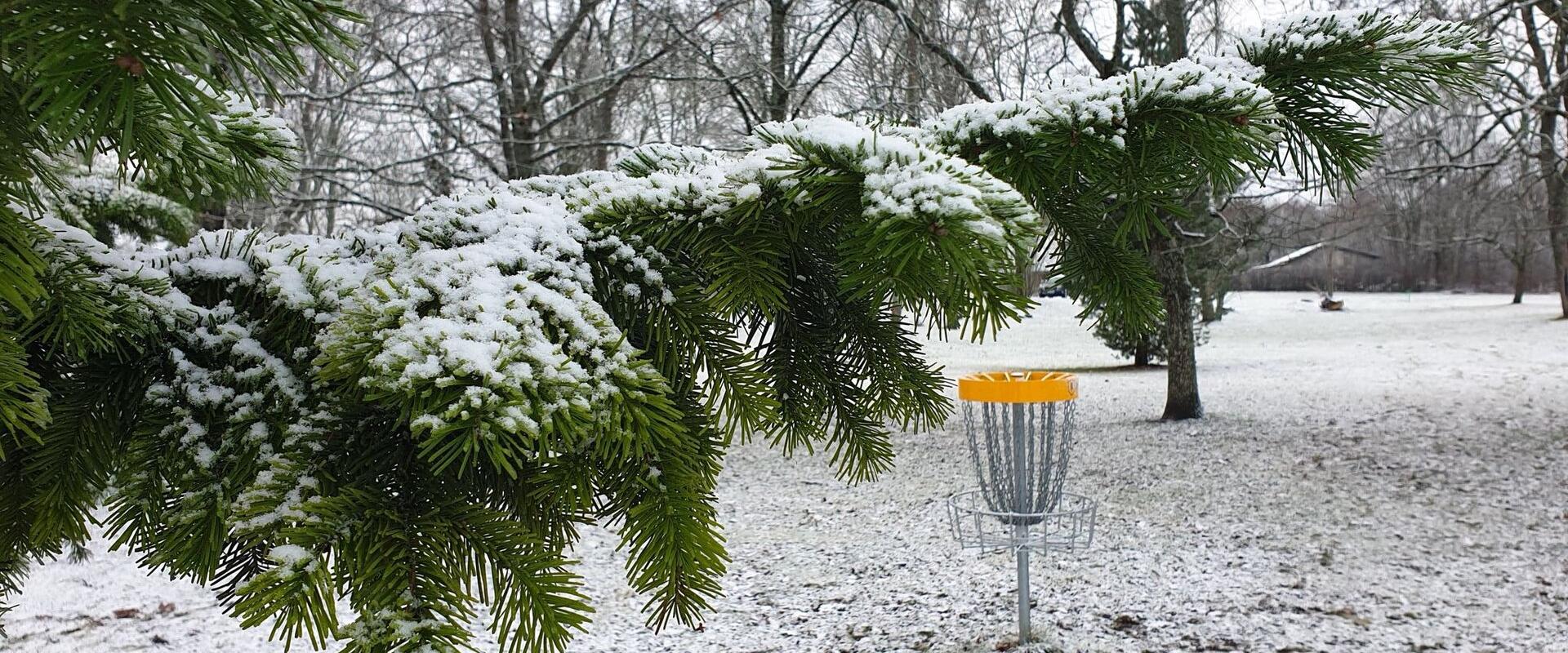 Pärnu-Jaagupi disgcolfi park talvel