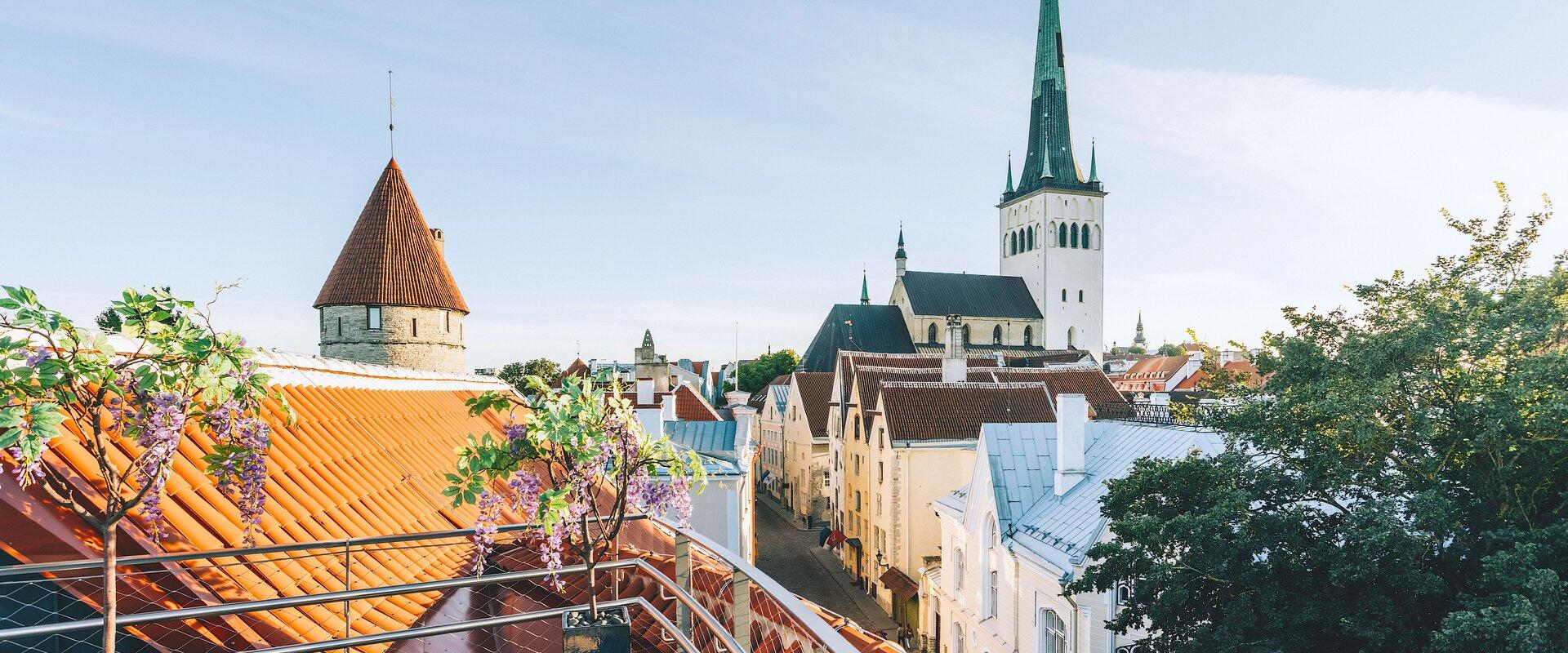 A View of the Old Town