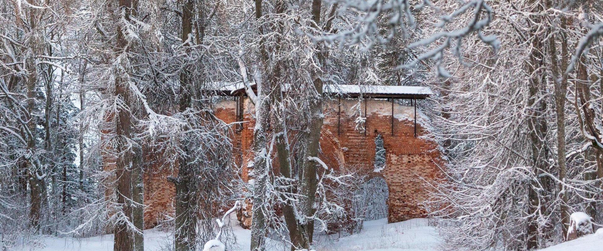 Ruins of Rõngu Vassal Stronghold