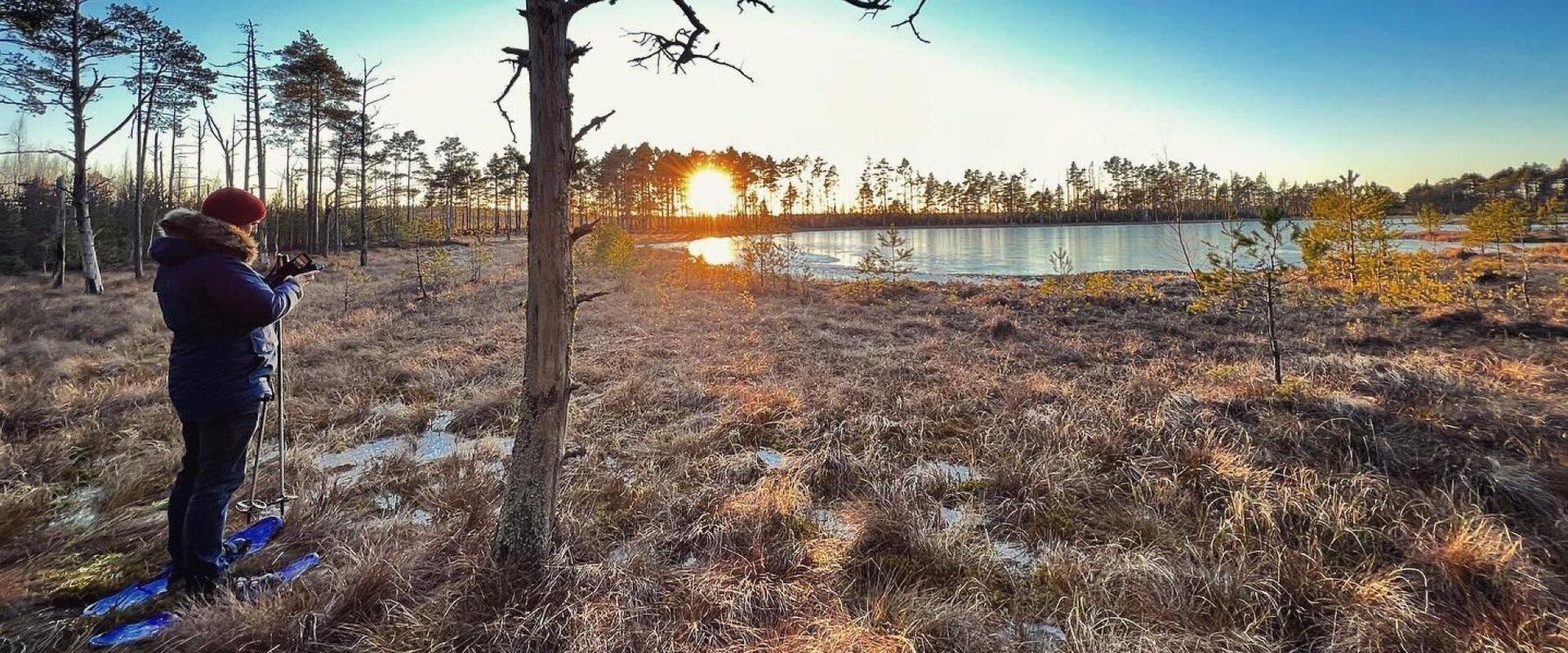 Viru bog is probably the most accessible bog during all seasons. It is a mixture of incredibly diverse landscapes, bog pools, strips, and hollows. The