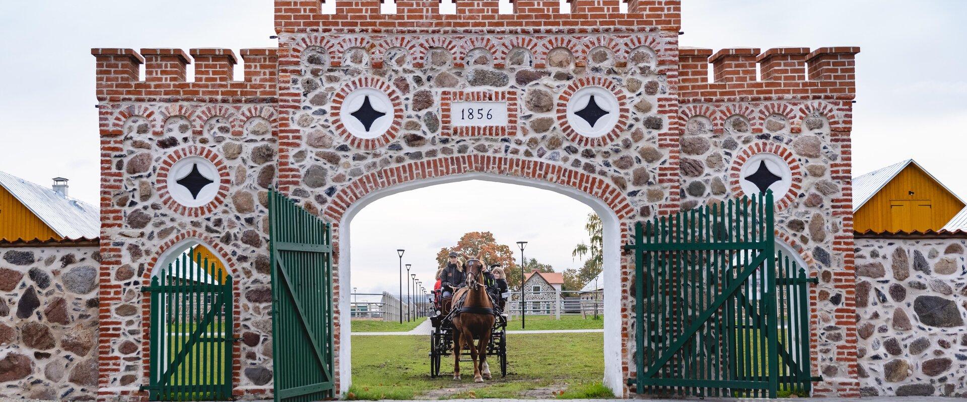 Tori Horse Breeding Farm