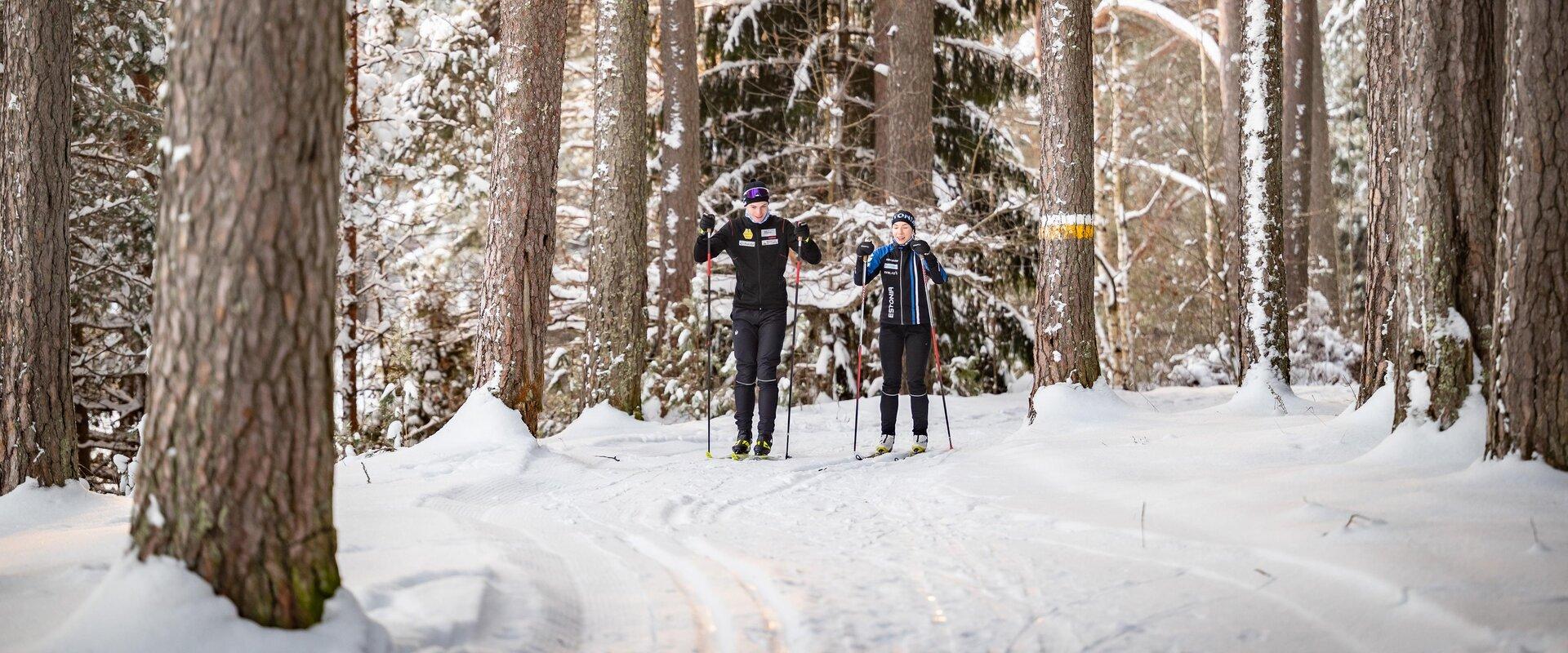 The ski tracks of Tartu County’s Health Sports Centre