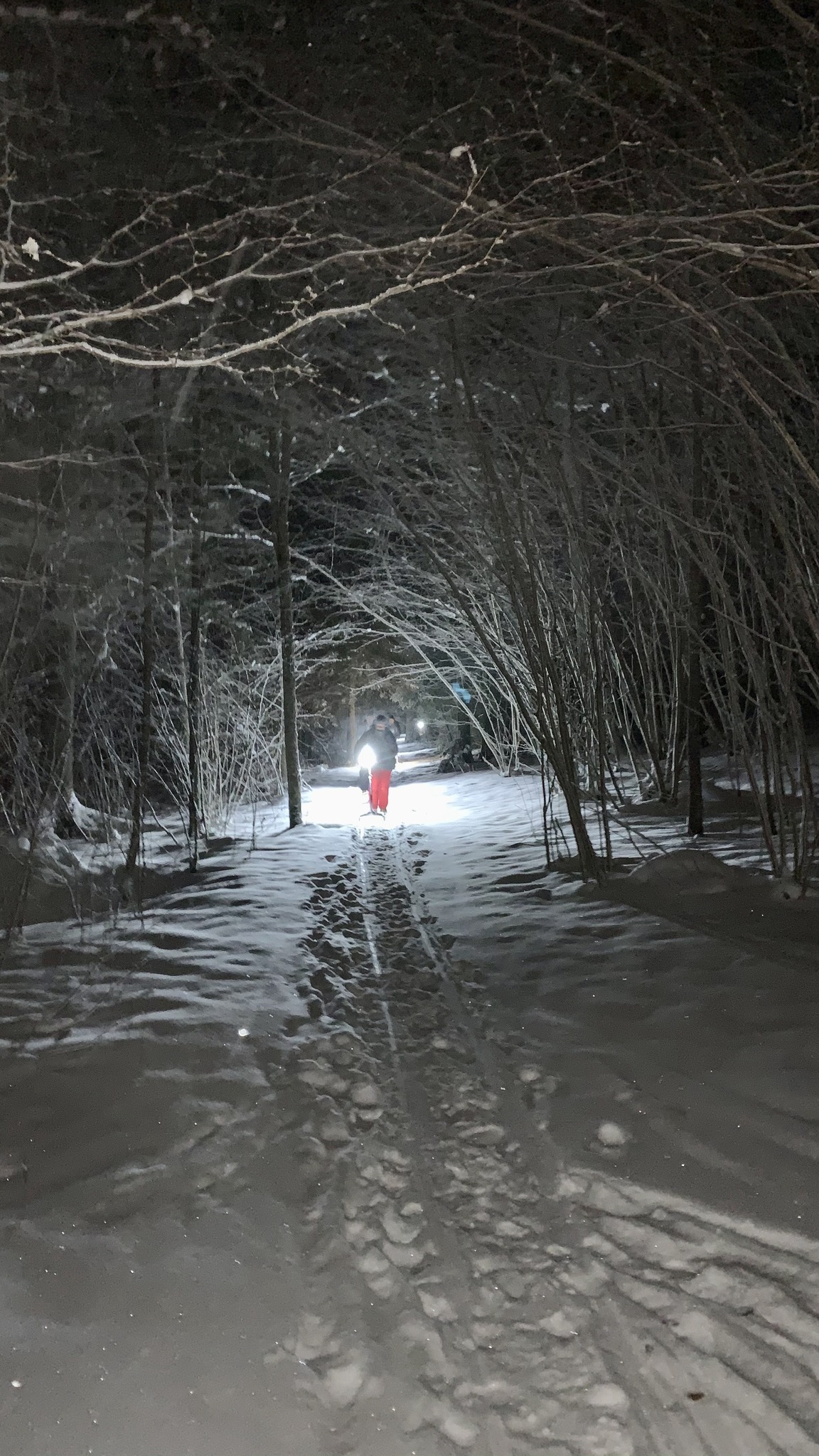 Valguskelgumatk Pühajärve lumistel radadel